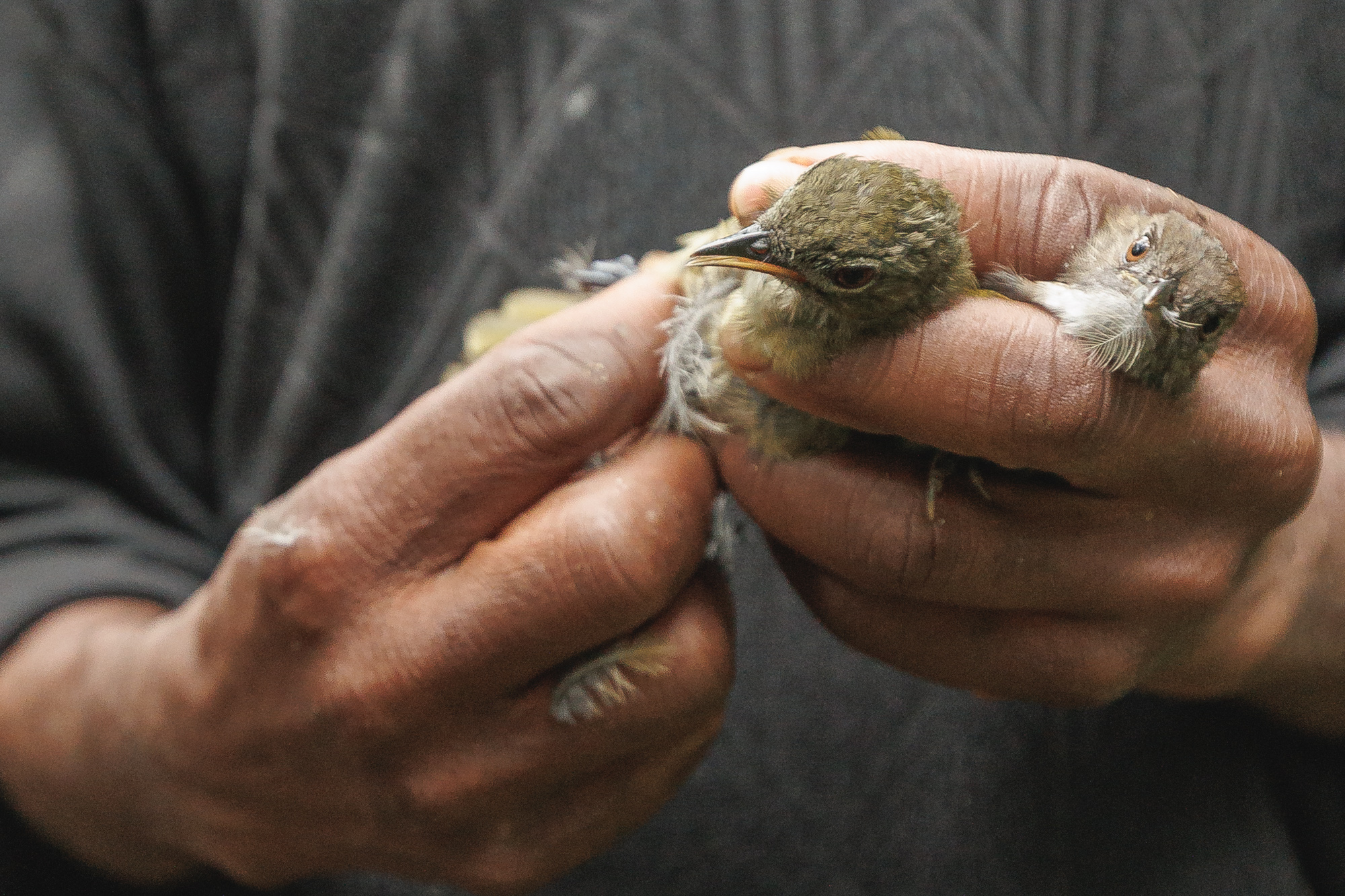 Produzione documentaria People For Nature
